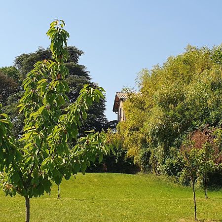 Villa Douceurs Des Vignes Du Vivian à Denicé Extérieur photo